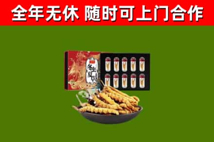 灵宝市烟酒回收冬虫夏草礼盒.jpg